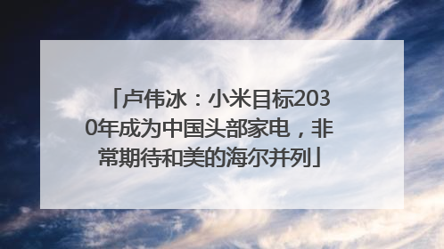卢伟冰：小米目标2030年成为中国头部家电，非常期待和美的海尔并列
