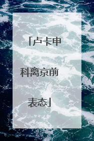 卢卡申科离京前表态
