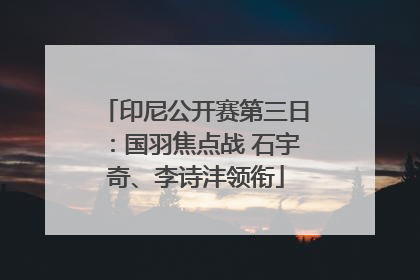 印尼公开赛第三日：国羽焦点战 石宇奇、李诗沣领衔