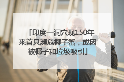 印度一洞穴现150年来首只濒危椰子蟹，或因被椰子和垃圾吸引