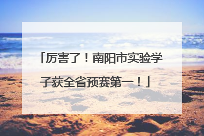 厉害了！南阳市实验学子获全省预赛第一！