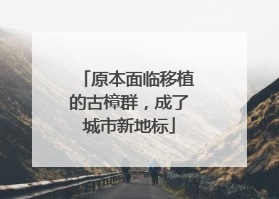 原本面临移植的古樟群，成了城市新地标