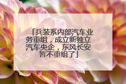 兵装系内部汽车业务重组，成立新独立汽车央企，东风长安暂不重组了