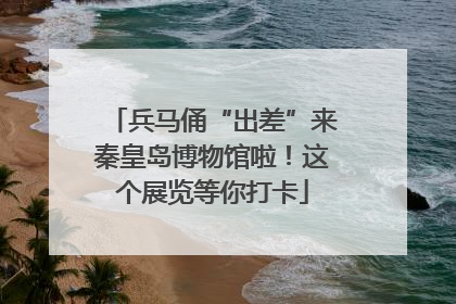 兵马俑“出差”来秦皇岛博物馆啦！这个展览等你打卡