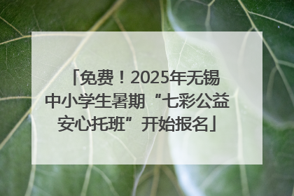 免费！2025年无锡中小学生暑期“七彩公益安心托班”开始报名