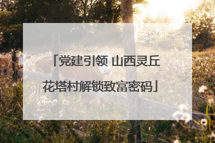 党建引领 山西灵丘花塔村解锁致富密码