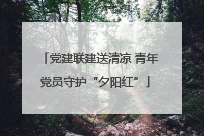 党建联建送清凉 青年党员守护“夕阳红”