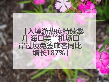 入境游热度持续攀升 海口美兰机场口岸过境免签旅客同比增长187%
