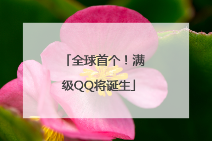 全球首个！满级QQ将诞生