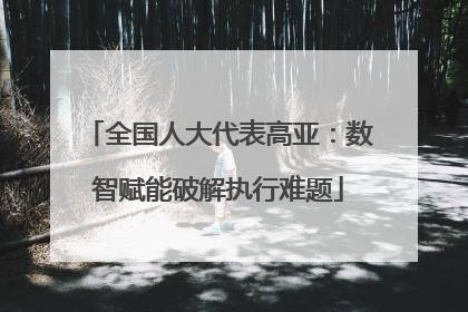全国人大代表高亚：数智赋能破解执行难题