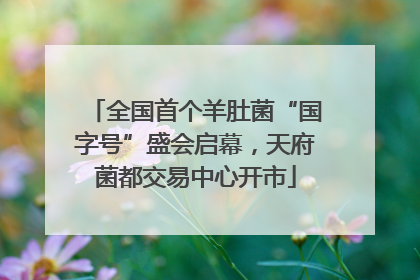 全国首个羊肚菌“国字号”盛会启幕，天府菌都交易中心开市