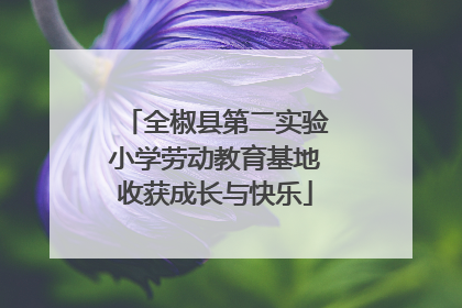 全椒县第二实验小学劳动教育基地收获成长与快乐