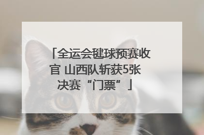 全运会毽球预赛收官 山西队斩获5张决赛“门票”