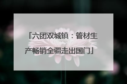 六团双城镇：管材生产畅销全疆走出国门