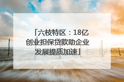 六枝特区：18亿创业担保贷款助企业发展提质加速