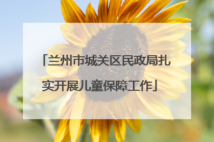 兰州市城关区民政局扎实开展儿童保障工作