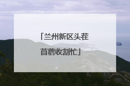 兰州新区头茬苜蓿收割忙