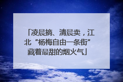 凌晨摘、清晨卖，江北“杨梅自由一条街”藏着最甜的烟火气