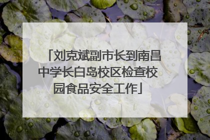 刘克斌副市长到南昌中学长白岛校区检查校园食品安全工作
