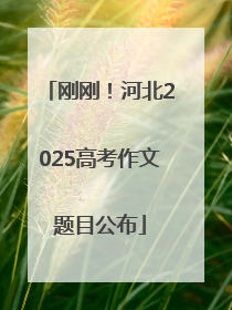 刚刚！河北2025高考作文题目公布