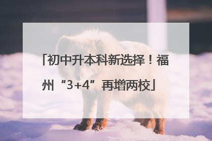 初中升本科新选择！福州“3+4”再增两校
