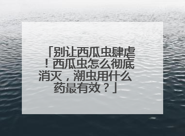 别让西瓜虫肆虐！西瓜虫怎么彻底消灭，潮虫用什么药最有效？