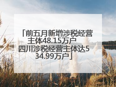 前五月新增涉税经营主体48.15万户 四川涉税经营主体达534.99万户
