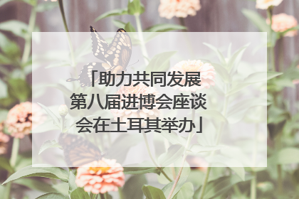 助力共同发展 第八届进博会座谈会在土耳其举办