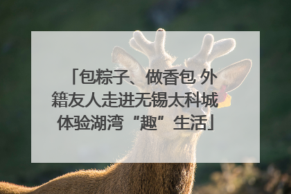 包粽子、做香包 外籍友人走进无锡太科城体验湖湾“趣”生活