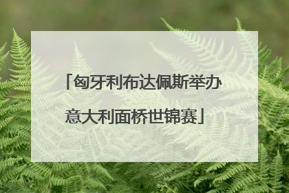 匈牙利布达佩斯举办意大利面桥世锦赛