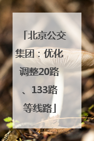北京公交集团：优化调整20路、133路等线路