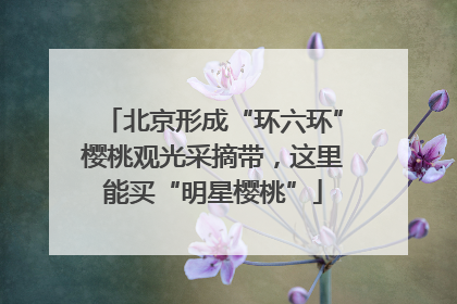 北京形成“环六环”樱桃观光采摘带，这里能买“明星樱桃”