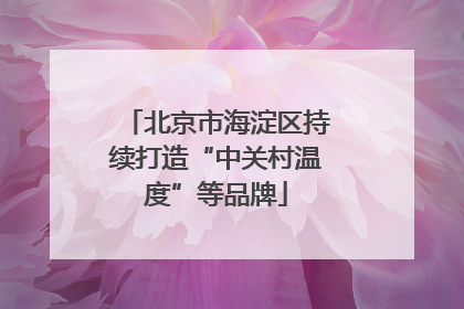 北京市海淀区持续打造“中关村温度”等品牌