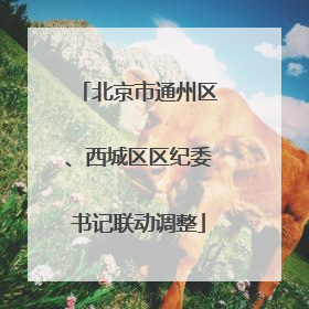 北京市通州区、西城区区纪委书记联动调整