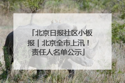 北京日报社区小板报｜北京全市上汛！责任人名单公示