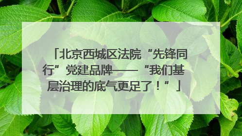 北京西城区法院“先锋同行”党建品牌——“我们基层治理的底气更足了！”