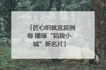 匠心织就宜居画卷 雕琢“精致小城”新名片