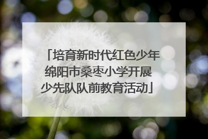 培育新时代红色少年 绵阳市桑枣小学开展少先队队前教育活动