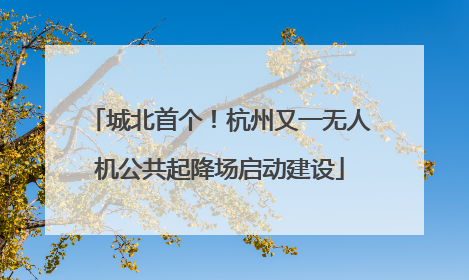 城北首个！杭州又一无人机公共起降场启动建设