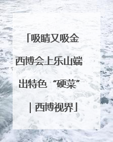 吸睛又吸金 西博会上乐山端出特色“硬菜”｜西博视界