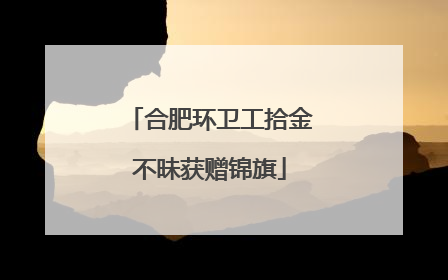 合肥环卫工拾金不昧获赠锦旗