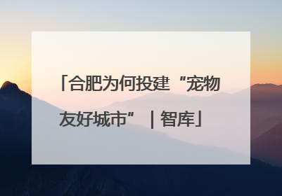 合肥为何投建“宠物友好城市”｜智库
