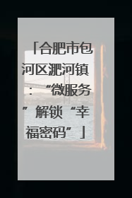 合肥市包河区淝河镇：“微服务”解锁“幸福密码”