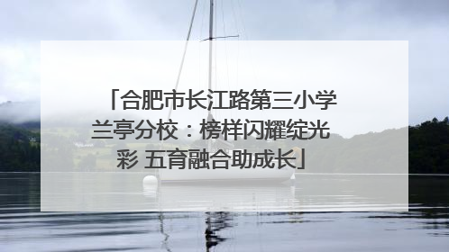 合肥市长江路第三小学兰亭分校：榜样闪耀绽光彩 五育融合助成长