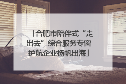 合肥市陪伴式“走出去”综合服务专窗护航企业扬帆出海
