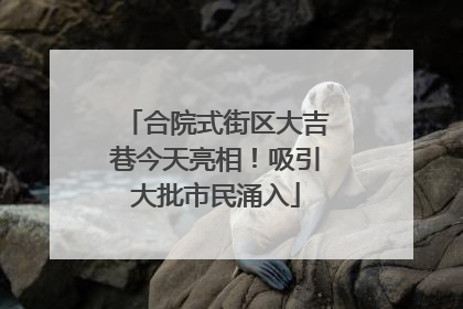 合院式街区大吉巷今天亮相！吸引大批市民涌入