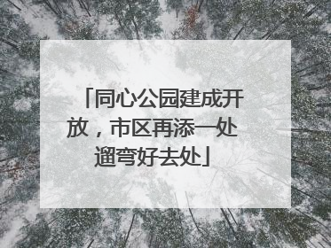 同心公园建成开放，市区再添一处遛弯好去处