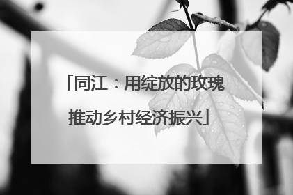 同江：用绽放的玫瑰 推动乡村经济振兴