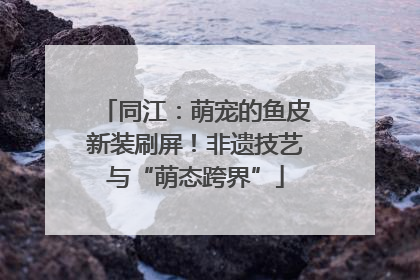 同江：萌宠的鱼皮新装刷屏！非遗技艺与“萌态跨界”