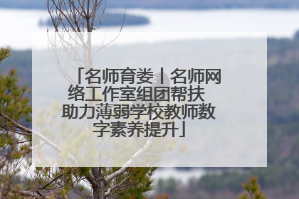 名师育娄丨名师网络工作室组团帮扶 助力薄弱学校教师数字素养提升